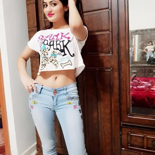 model Call Girls in Ludhiana